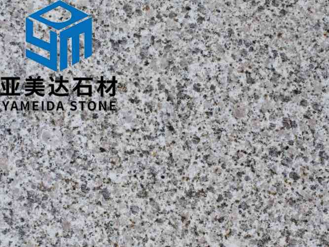 山东芝麻白四号光面