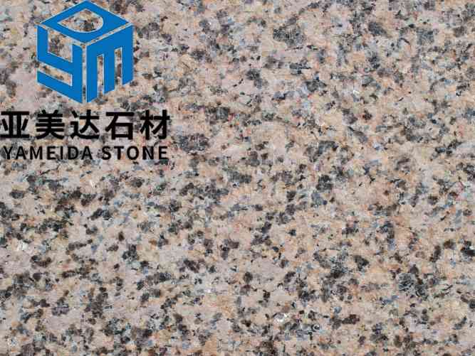 山东黄金麻四号火烧面