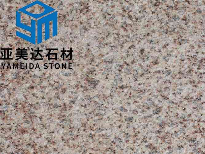 山东黄金麻三号火烧面