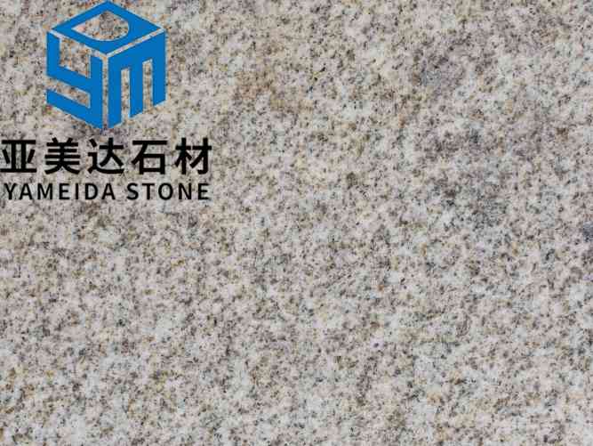 山东黄金麻一号光面