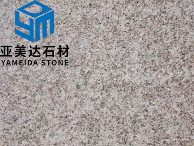 山东黄金麻一号火烧面