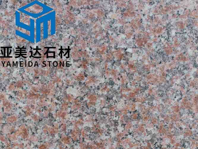 山东樱花红四号光面