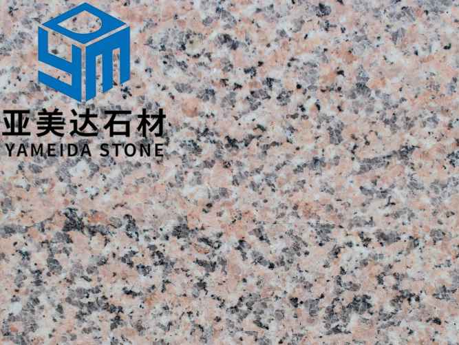 山东樱花红一号光面