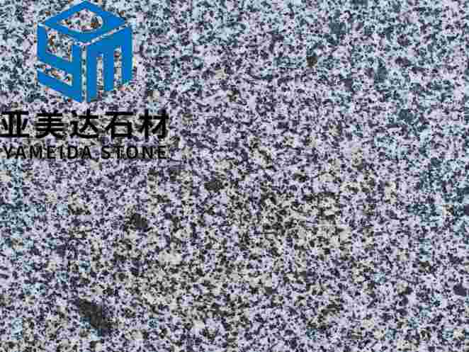 山东芝麻黑一号光面