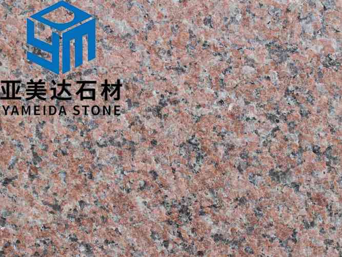 山东石岛红八号火烧面